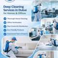 Apartment Cleaning Services In Dubai | Eco Guardians &ndash; Reliable & Professional Cleaning