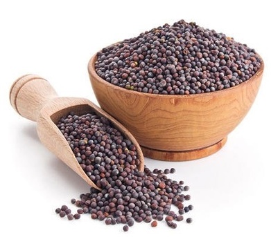 Jaipur, Wholesale Products, Mustard Seeds Suppliers In Rajasthan