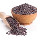 Mustard Seeds Suppliers In Rajasthan