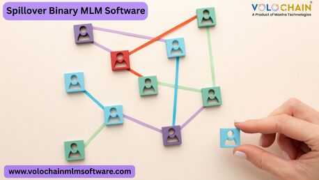 Lucknow, Software Development, Maximize Your Revenue With The Professionals In Spillover Binary MLM Software