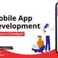 Mobile App Development Company In Chandigarh | Duplex Technologies Service