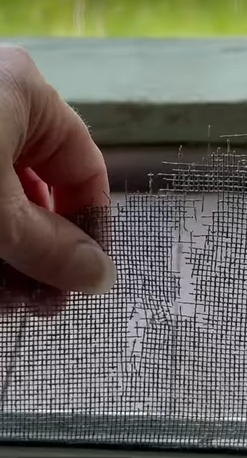 Khobar, Cleaning, Hisham Hossain Cleaning Services