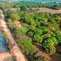 INR 6200000,  5.25 Acres Mango Farm For Sale