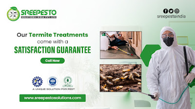 Hyderabad, Pest Control, Termite Pest Control Bolarum