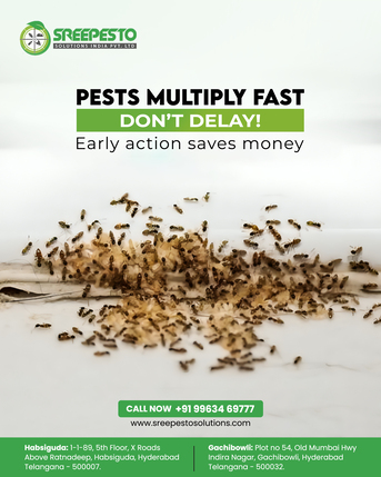 Hyderabad, Pest Control, Termite Pest Control Trimulgherry