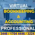 VIRTUAL BOOKKEEPING & ACCOUNTING PROFESSIONALS