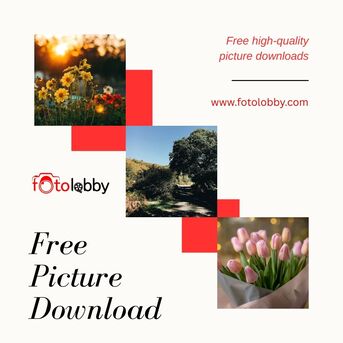 Paris, Photography, Free Picture Download