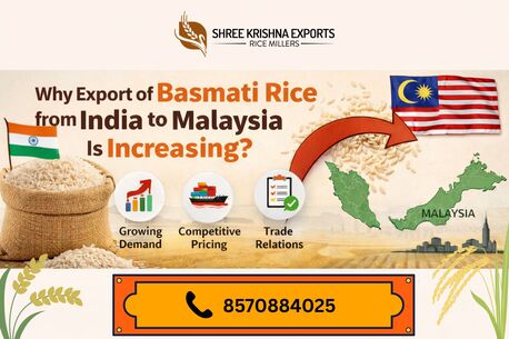 Mumbai, Food, Looking For Export Of Basmati Rice From India To Malaysia? Read This Guide
