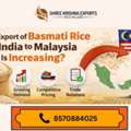 Looking For Export Of Basmati Rice From India To Malaysia? Read This Guide