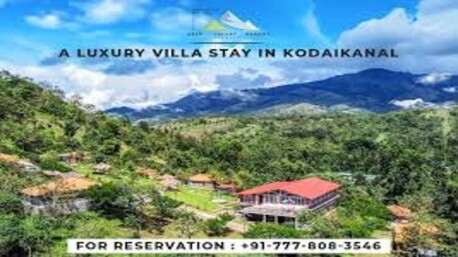 Mumbai, Business, Detox Retreat In Resort &ndash; Natural Wellness Escape In Kodaikanal