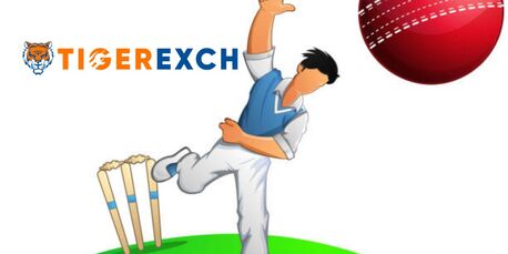 Hong Kong, Job Seekers, Tiger365 Me: Complete Guide To Secure & Smart Online Gaming