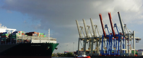 Bratislava, Business, Indian Grocery Wholesalein Ljubljana, Slovenia