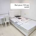 SAR 1250/month,  Male Executive Bed Space