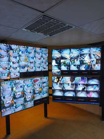 Riyadh, Job Seekers, Electrical And Cctv Supervisor