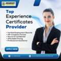 Experience Certificates Provider In Gurgaon