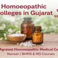 Leading Homoeopathic College In Gujarat | SSAMCH