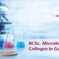 M.Sc. Microbiology College In Gujarat: SS Agrawal Institute