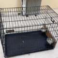 SAR 250,  Extra Large Cage For Cat / Dog