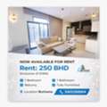 BHD 250/month,  1 BR,  1 Bedroom Apartment For Rent In Burhama