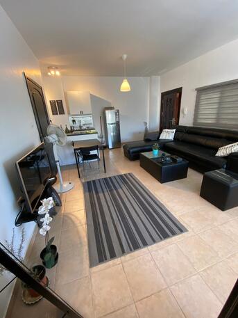 Amman, Apartments/Houses, JOD 400/month,  Furnished,  Studio,  Studio Appt. For Rent In Jabal Alweibdeh