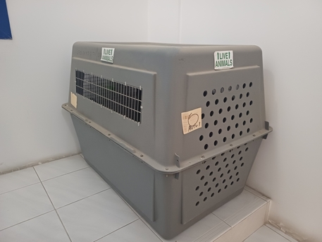 Adliya, Pet Supplies, BHD 100,  Dog Cage