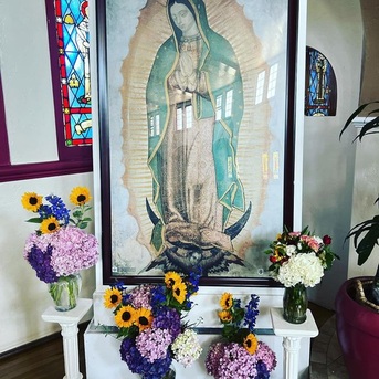 New York, Photography, Mushroom Church In Santa Cruz | Spiritual Community & Healing