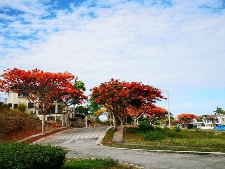 Manila, Real Estate For Sale, PHP 13230000,  Studio,  450 Sq. Meter,  Residential Lot Located At Playa Calatagan Village