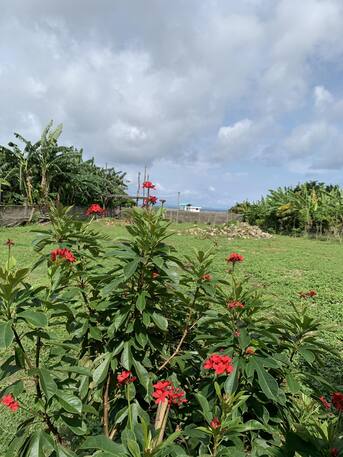 Manila, Real Estate For Sale, PHP 4500000,  Studio,  1498 Sq. Meter,  Mini Farm Lot Located At Calatagan Batangas