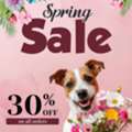 BestVetCare Spring Sale &ndash; Flat 30% OFF + Free Shipping On Pet Essentials!