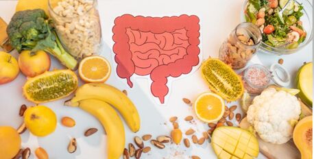 New York, Health, Digestive Health & Enzyme Therapy For Better Wellness