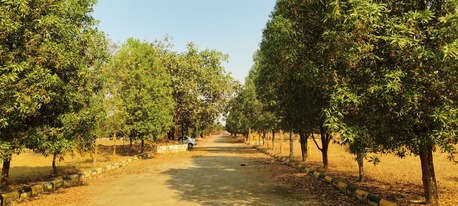 Hyderabad, Residential Plots, INR 35000,  300 Sq. Yard,  HMDA Gated Residentail Plots Sale In Tukkuguda Near Adhibatla TCS @7093874335