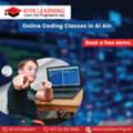 Online Coding Classes In Al Ain