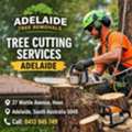Professional Tree Cutting Services Adelaide For Homes And Businesses