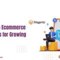 Magento Ecommerce Solutions For Growing Brands