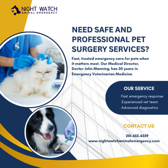New York, Health, Need Safe And Professional Pet Surgery Services?