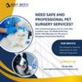 Need Safe And Professional Pet Surgery Services?