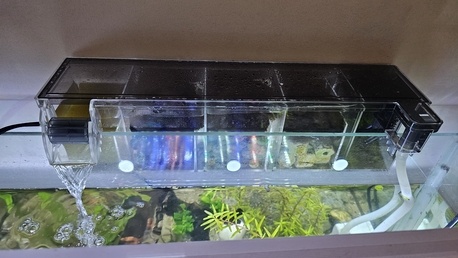 Al Rabie, Pet Supplies, SAR 800,  Planted Aquarium For Sale Including Fish