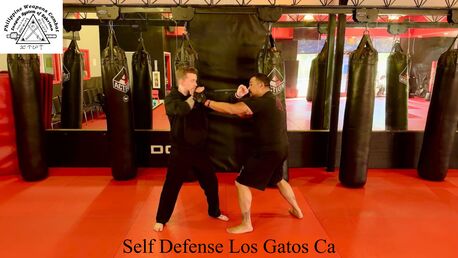 New York, Guides/Interpreters, Martial Arts Silicon Valley California