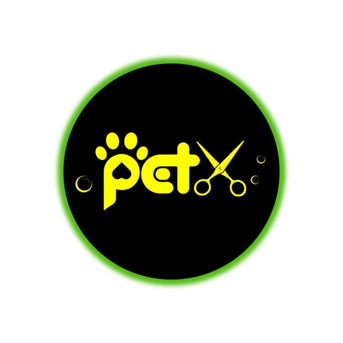 Toronto, Business, Trusted Pet Grooming Services In Scarborough ON