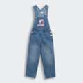 Cute Accessories To Pair With A Dungaree Dress For Little Girls