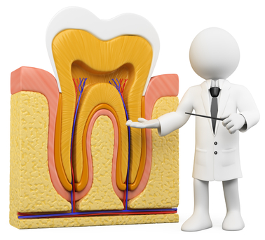 New Delhi, Dental, Best Root Canal Treatment In Delhi NCR