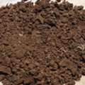 Cow Dung Powder Suppliers In Telangana