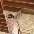 Virginia Spray Foam Insulation