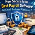 How Secure Is The Best Payroll Software For Small Business Platforms ?