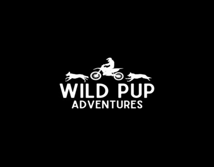 New York, Pet Sitting, Advanced Off Leash Dog Training Near You