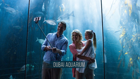 Dubai, Travel, Dubai Aquarium And Underwater Zoo Tickets At Best Price
