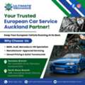 Expert Auto Electrical Repairs On Auckland&rsquo;s North Shore