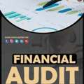 Financial Audit Consultant