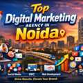 Top Digital Marketing Agency In Noida | Digital Retina (DRET)
