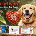 Heartworm Prevention For Dogs